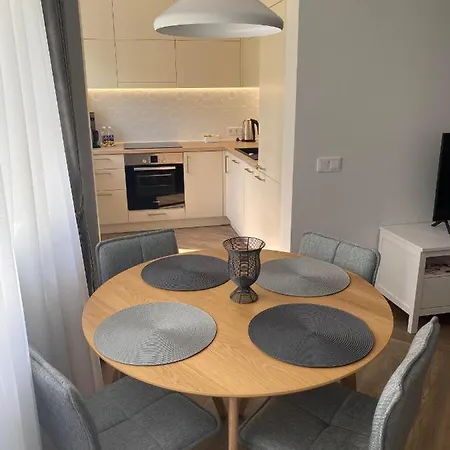 Apartament Danginta Druskieniki